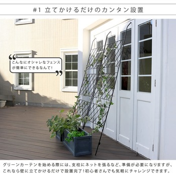 アイアン製グリーンカーテン アーガイル 住まいスタイル