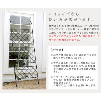アイアン製グリーンカーテン アーガイル 住まいスタイル