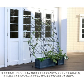 アイアン製グリーンカーテン アーガイル 住まいスタイル