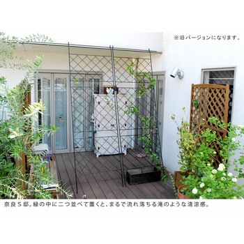 アイアン製グリーンカーテン アーガイル 住まいスタイル