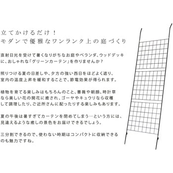 アイアン製グリーンカーテン グラフ 住まいスタイル