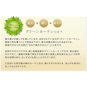アイアン製グリーンカーテン グラフ 住まいスタイル