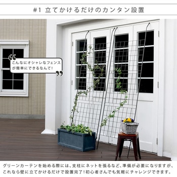 アイアン製グリーンカーテン グラフ 住まいスタイル