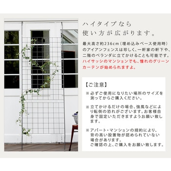 アイアン製グリーンカーテン グラフ 住まいスタイル