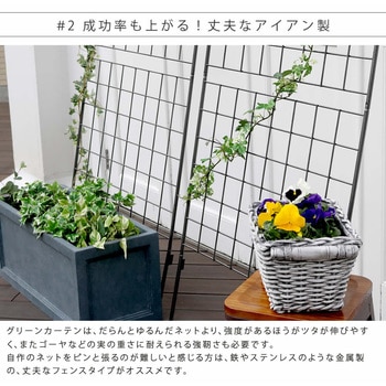 アイアン製グリーンカーテン グラフ 住まいスタイル