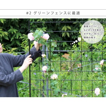 アイアンフェンス 「グラフ」 住まいスタイル