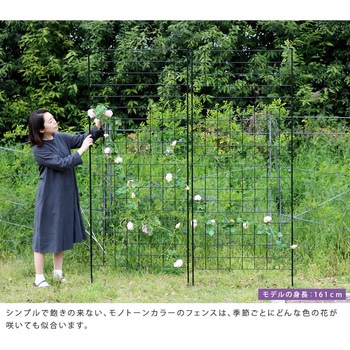 アイアンフェンス 「グラフ」 住まいスタイル