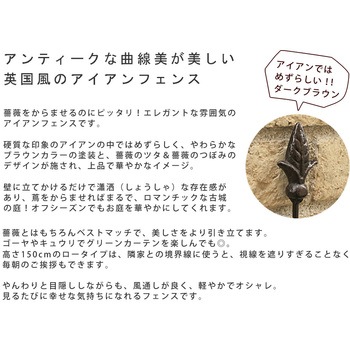 アイアンローズフェンス150 住まいスタイル