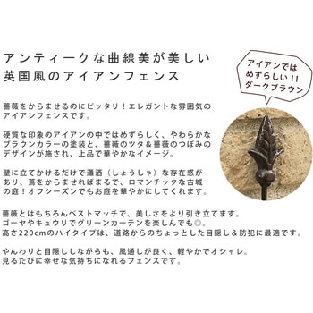 アイアンローズフェンス220 住まいスタイル