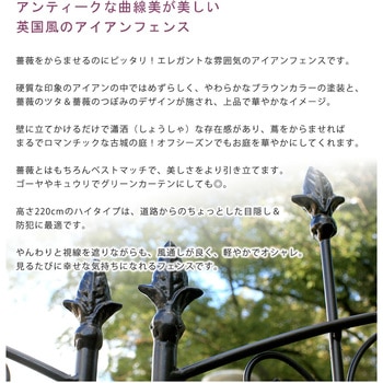 アイアンローズフェンス 住まいスタイル