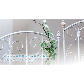 sp-oc003sl-2p4p-wht-off.jpg