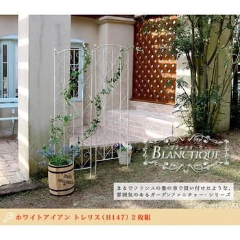 ブランティーク ホワイトアイアントレリスH147 住まいスタイル