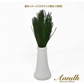 関東式荒神松S A&K