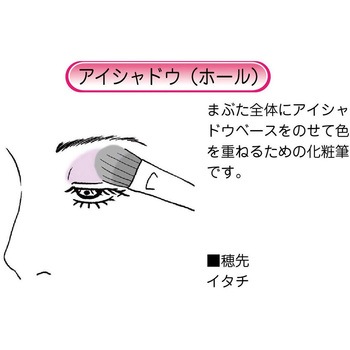 化粧筆 ハイグレードタイプ 臙脂 アイシャドウM あかしや
