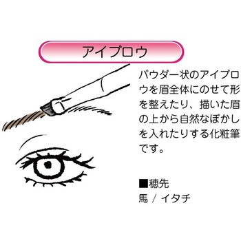 化粧筆 ハイグレードタイプ 臙脂 アイブロウ あかしや