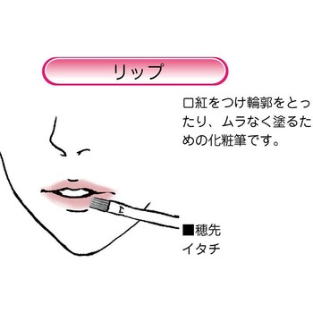 化粧筆 ハイグレードタイプ 臙脂 リップ あかしや