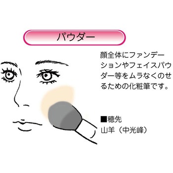 化粧筆 ベーシックタイプ パウダーL あかしや