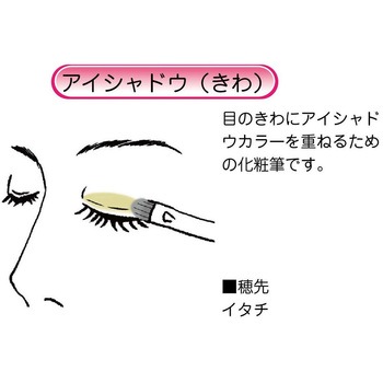 化粧筆 ベーシックタイプ アイシャドウS あかしや