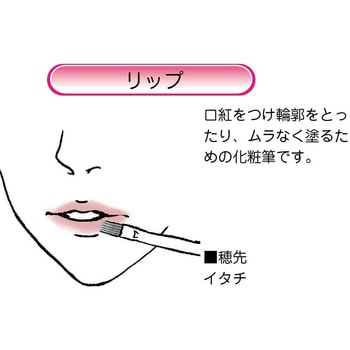 化粧筆 ベーシックタイプ リップ あかしや