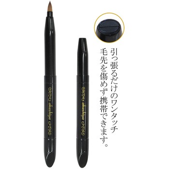 化粧筆 携帯オートリップ ブラック あかしや