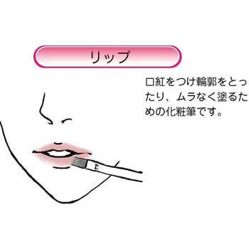 化粧筆 携帯オートリップ ブラック あかしや