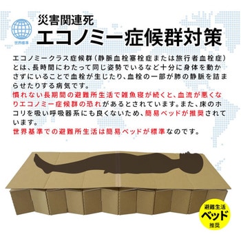 ダンボール製 ジャバラベッド(日本製) ブレイン