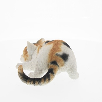 ベニーズキャット(獲物を狙う) - 紅石