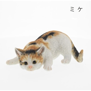 ベニーズキャット(獲物を狙う) - 紅石
