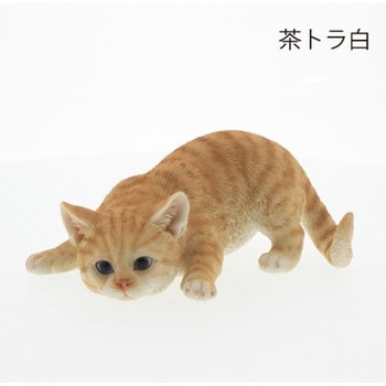 ベニーズキャット(獲物を狙う) - 紅石