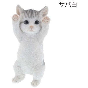 ベニーズキャット(手をあげろ) 紅石