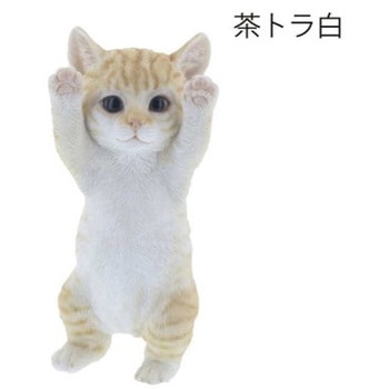 ベニーズキャット(手をあげろ) 紅石
