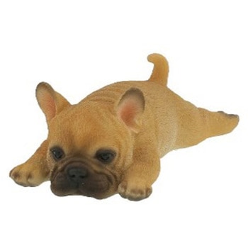 QY-216B Ղ܂ g 76465997