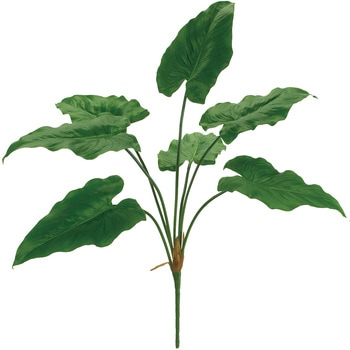 カラーリーフブッシュ MAGIQ(東京堂)