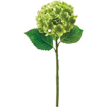 FM007988-024   76485265