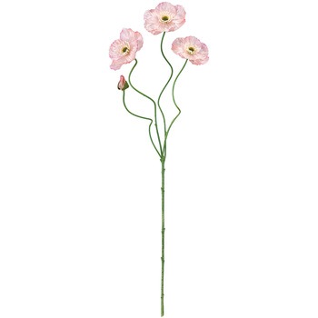 FM008326-002 エレナポピー 東京堂 76485335