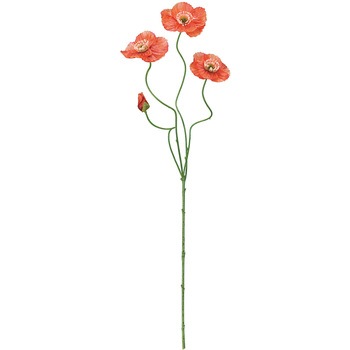 FM008326-009 Gi|s[  76485344