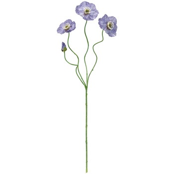 FM008326-011 �G���i�|�s�[ ������ 76485353