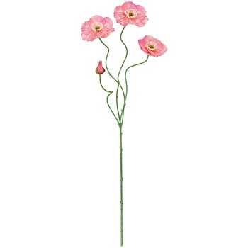 FM008326-052 Gi|s[  76485369