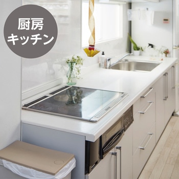 ハエ取りリボン 5本入 モノタロウ