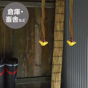 ハエ取りリボン 5本入 モノタロウ