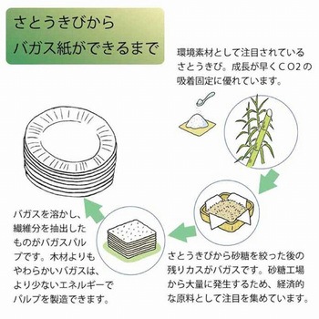 紙ボウル エスコ