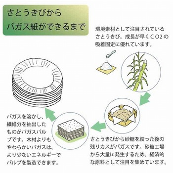 紙ボウル エスコ