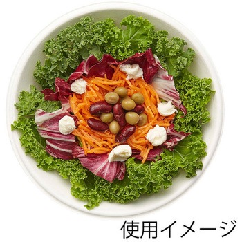 紙ボウル エスコ