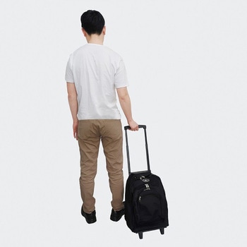29L バックパック(キャリー付) エスコ