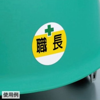 ヘルメットステッカー(1t以上玉掛技能者) - エスコ