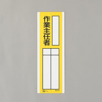 EA983CE-16 W(ƎC) GXR 76605288
