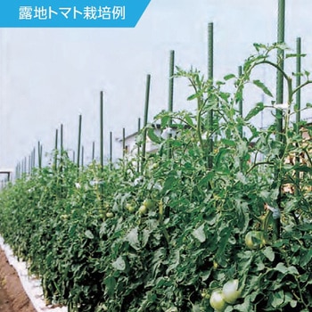 ネット用支柱(イボ付) エスコ