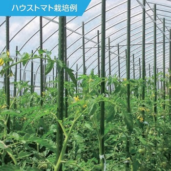ネット用支柱(イボ付) エスコ