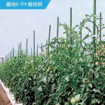 ネット用支柱(イボ付) エスコ