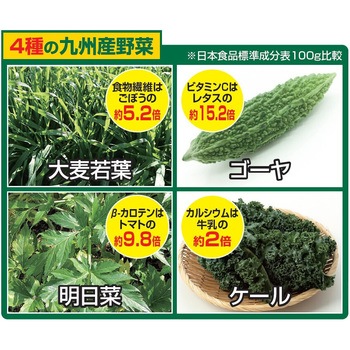 4種の九州産野菜青汁 ファミリー・ライフ